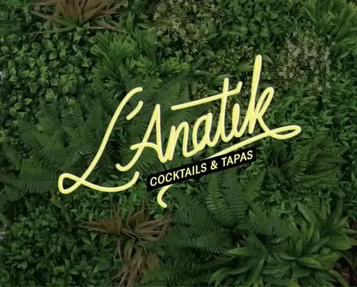 logo L'Anatik